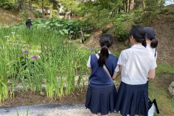 毛越寺のあやめ祭り