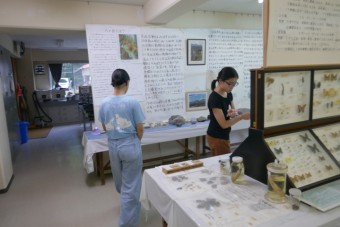 中２八ヶ岳合宿前期-5