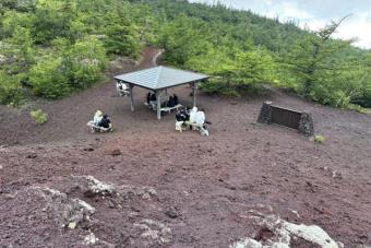 250722生物野外実習-3