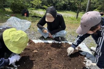 生物野外実習2日目～最終日-2