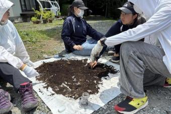 生物野外実習2日目～最終日-3