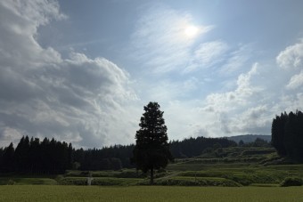 音楽班夏合宿2日目-11