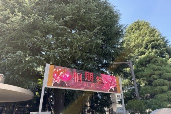 桐朋祭　アーチ