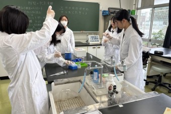 251009PCR実験-10