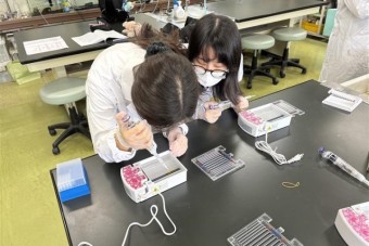 251009PCR実験-12