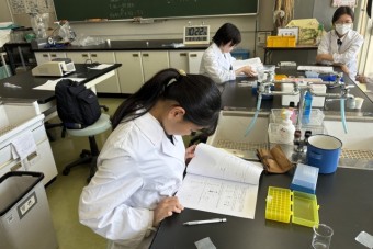 251009PCR実験-4