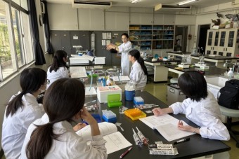 251009PCR実験-5