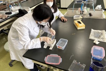 251009PCR実験-8