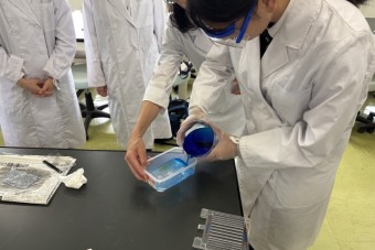 251009PCR実験-9