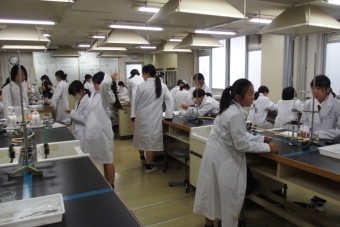 中学1年黄色　ワインの蒸留実験を行いました