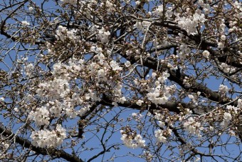 2026年度大学入試結果（3月23日時点）