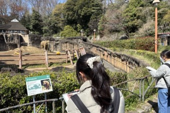高校2年　多摩動物公園見学会