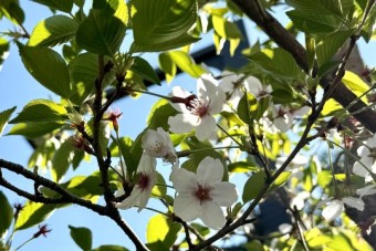 2026年度始業式　歓迎の言葉