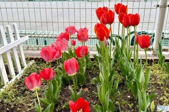 2026年度始業式　喜びの言葉