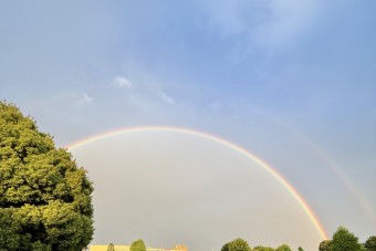260427rainbow2