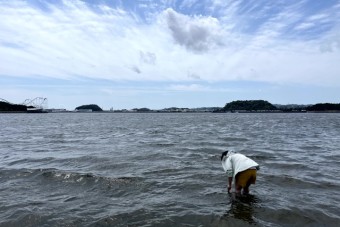 260428H2W　Hakkeijima-1