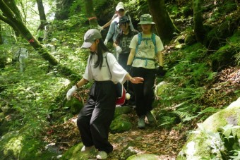 260711m2yatsugatake4-2