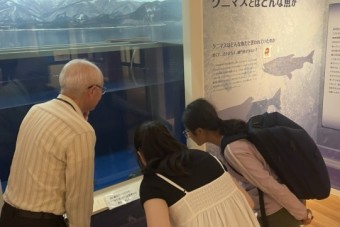 260711M3touhoku3-7