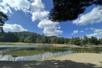 260709M3touhoku110