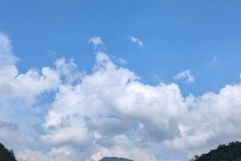 260725art-1