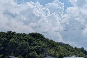 260725art-6