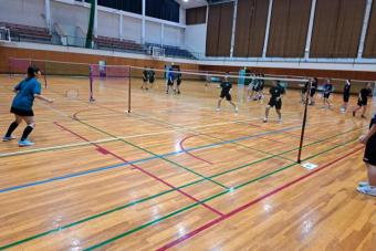 260726badog3-1