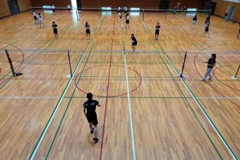 260727badog4-1