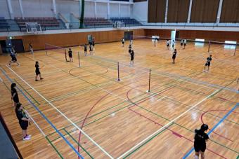 260727badog4-2
