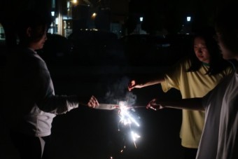 260803shodog-8