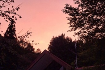 IMG_1577