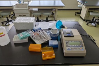 高校３年　生物選択者　PCR実験の体験