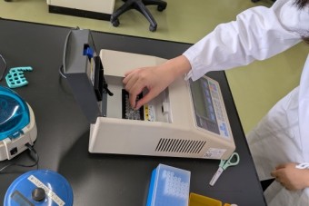 PCR7