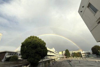 IMG_3175k
