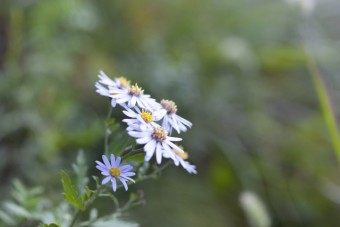 07_MG_3570